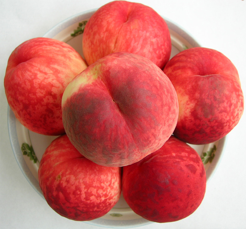 ƽȴ(Լ5kg)