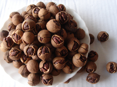Ұɽң/500g