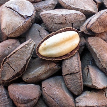 /500g