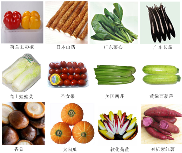 有机蔬菜