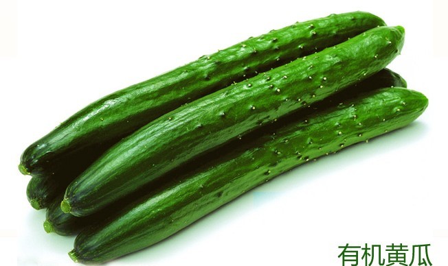 лƹ500g