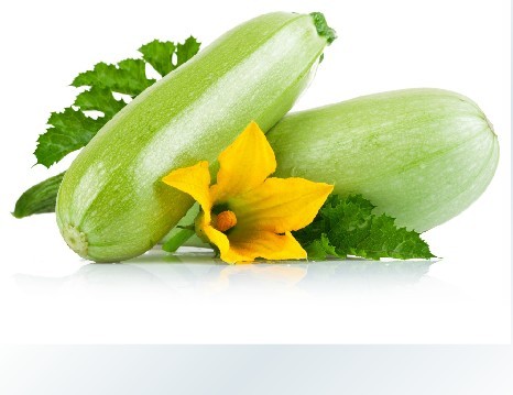 л«500g