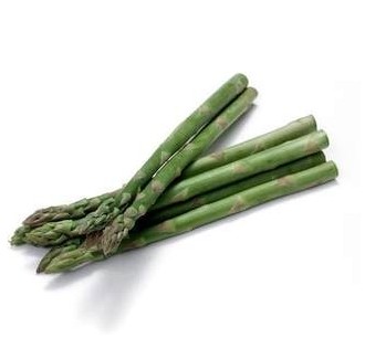 л«500g
